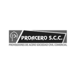 Logotipos-Clientes-P_D-BN-41